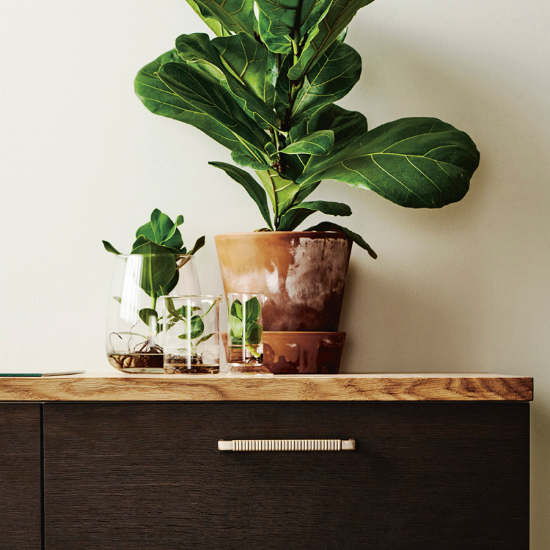 Handtag Rattan - Borstad mässing