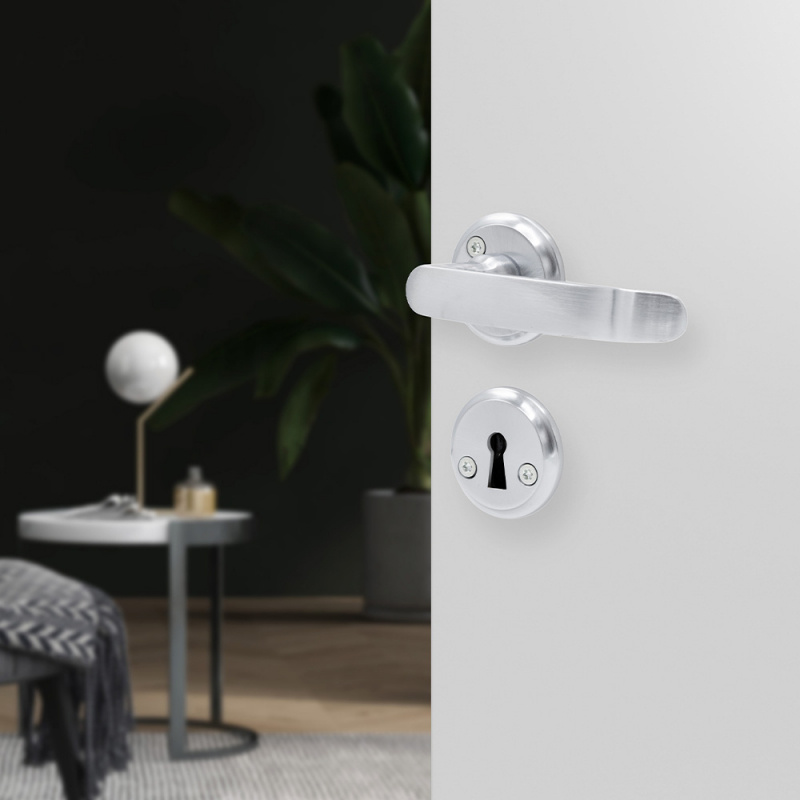 Dörrhandtag Hven - Mattborstad Krom